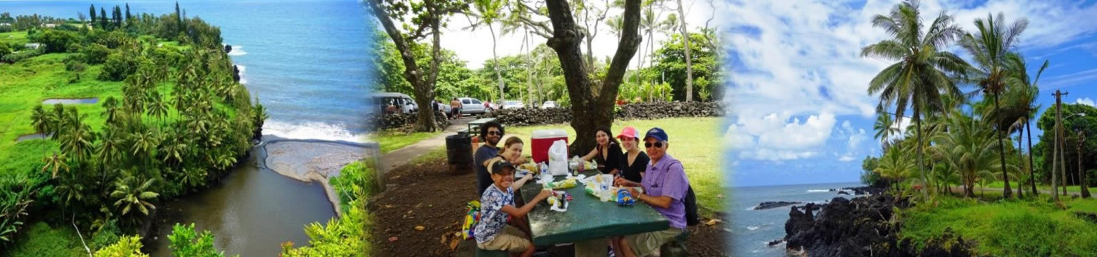 Stardust Hawaii - Famous Road to Hana Waterfalls & Lunch