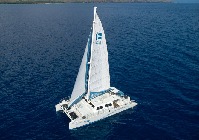 Pacific Whale Foundation - Ocean Spirit Sunset Sail