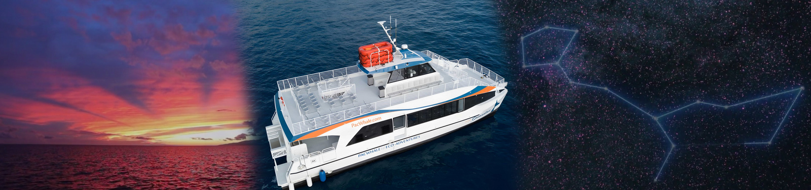 Pacific Whale Foundation – Sunset & Celestial Cruise