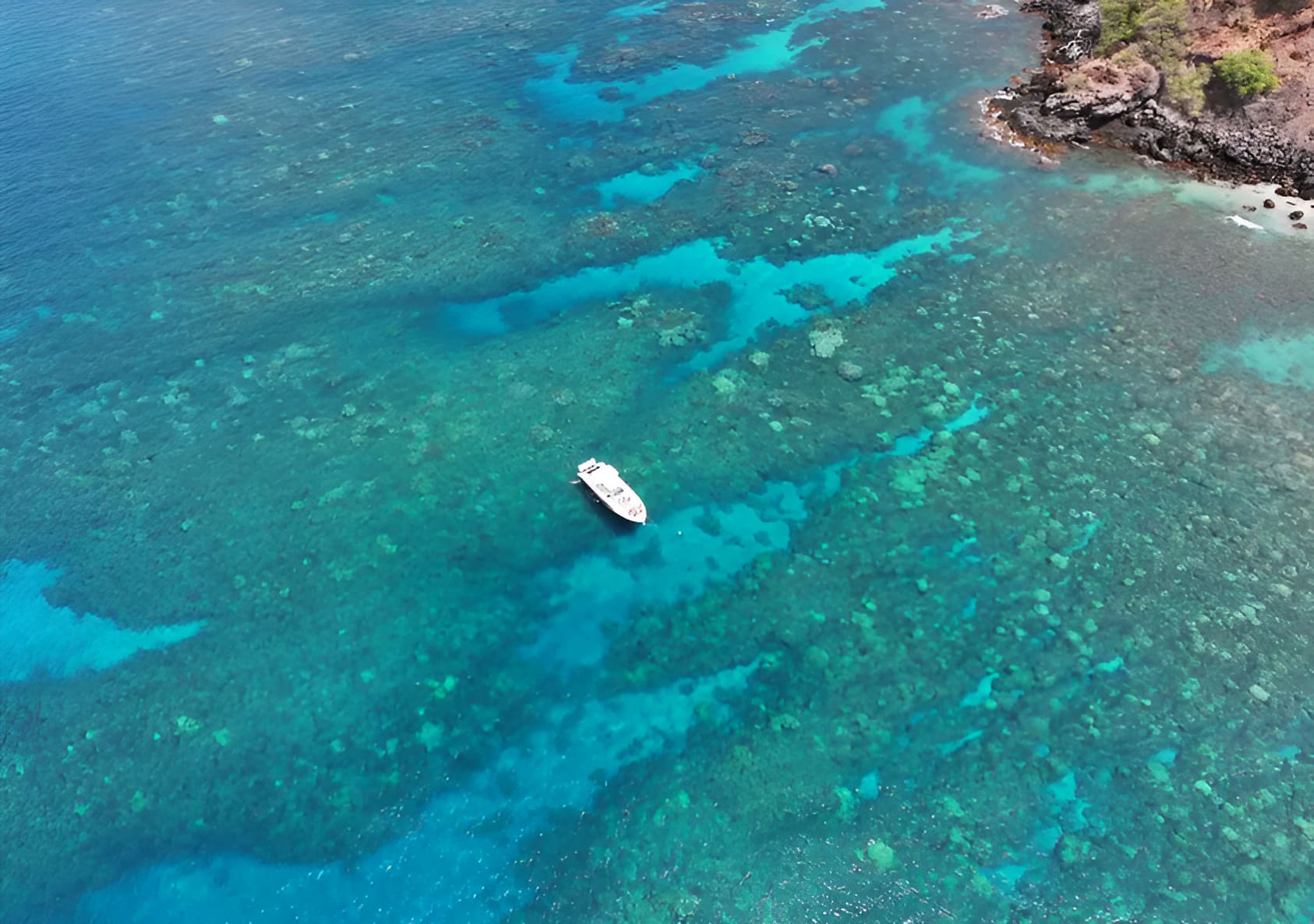 Maui Luxury Snorkel Cruise