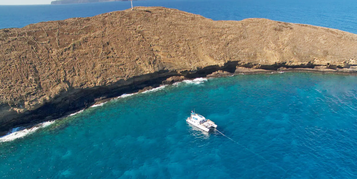 Malolo Charters - Malolo Snorkel Cruise