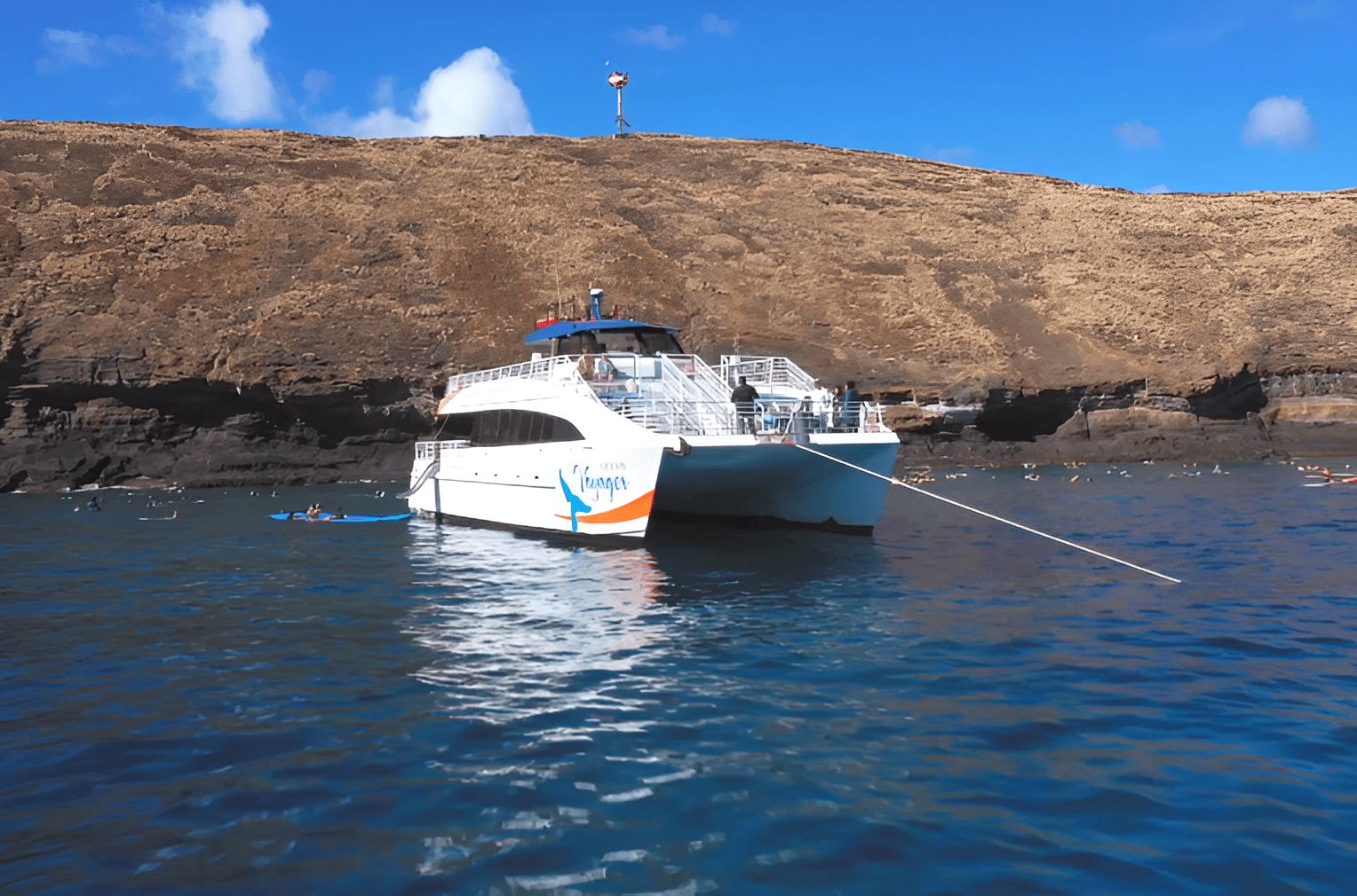 Pacific Whale Foundation - Molokini & Turtle Adventure (Maalaea)