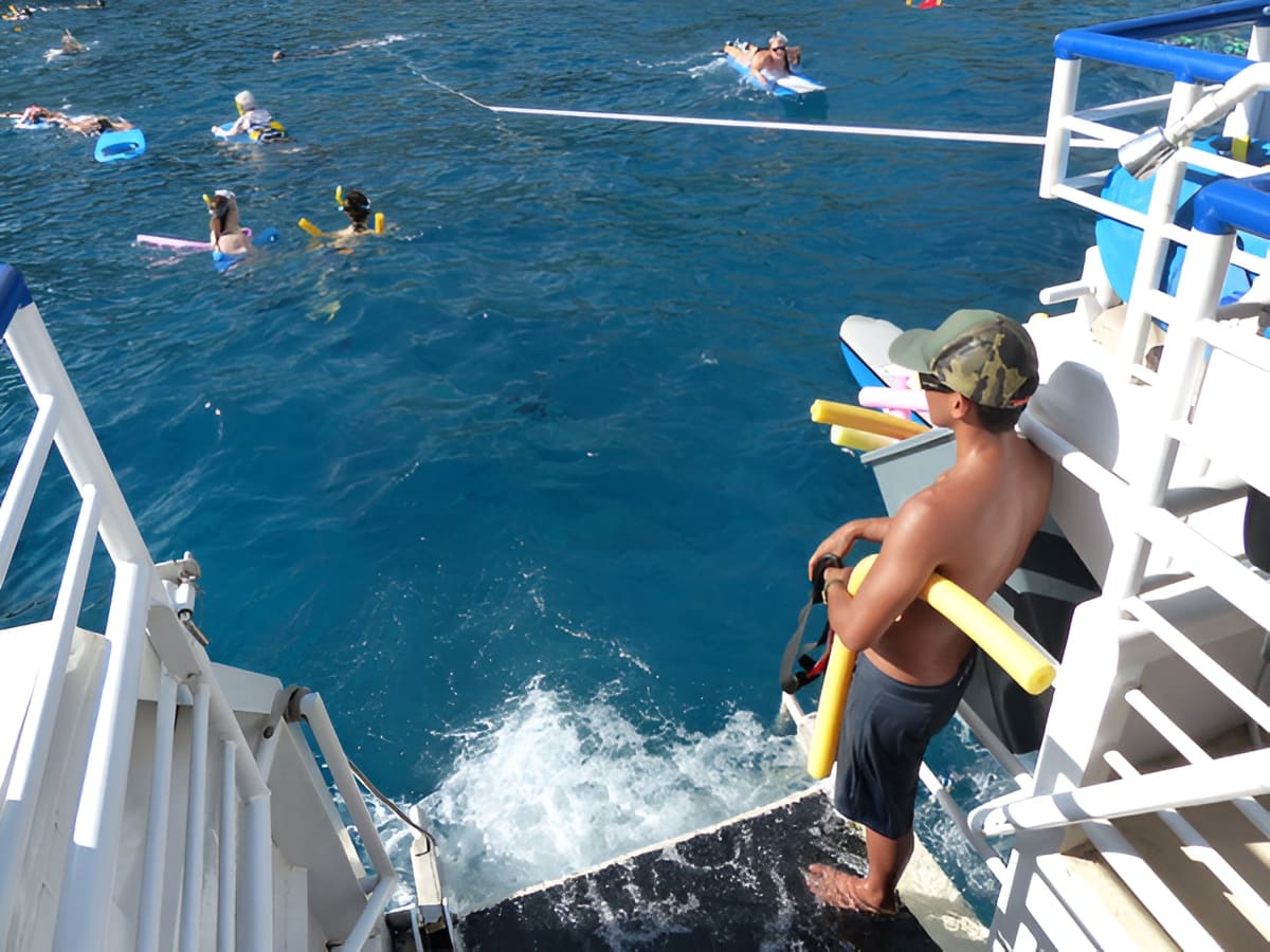Quicksilver – Turtle Reef Morning Snorkel Cruise
