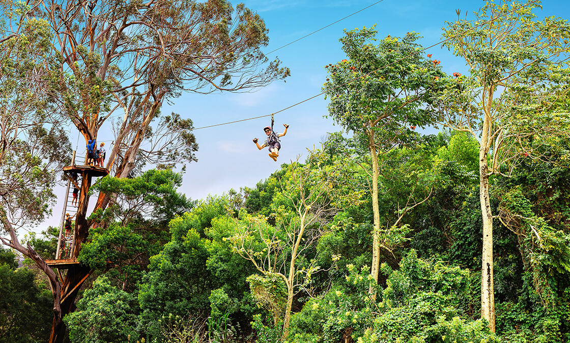 Zipline Canopy Tour