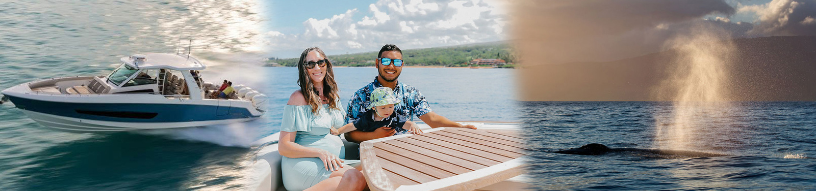 Hawaii Nautical - Ma'alaea Whale Watch