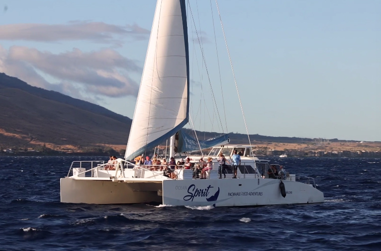 Whale Watch Sail Deluxe