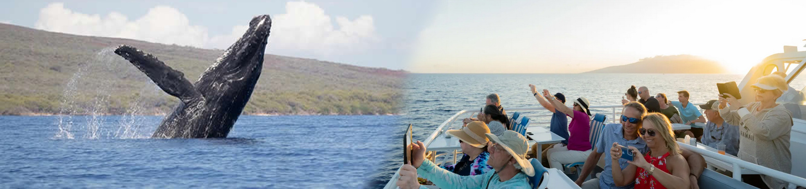 Quicksilver - Maui Whale Watching Tour