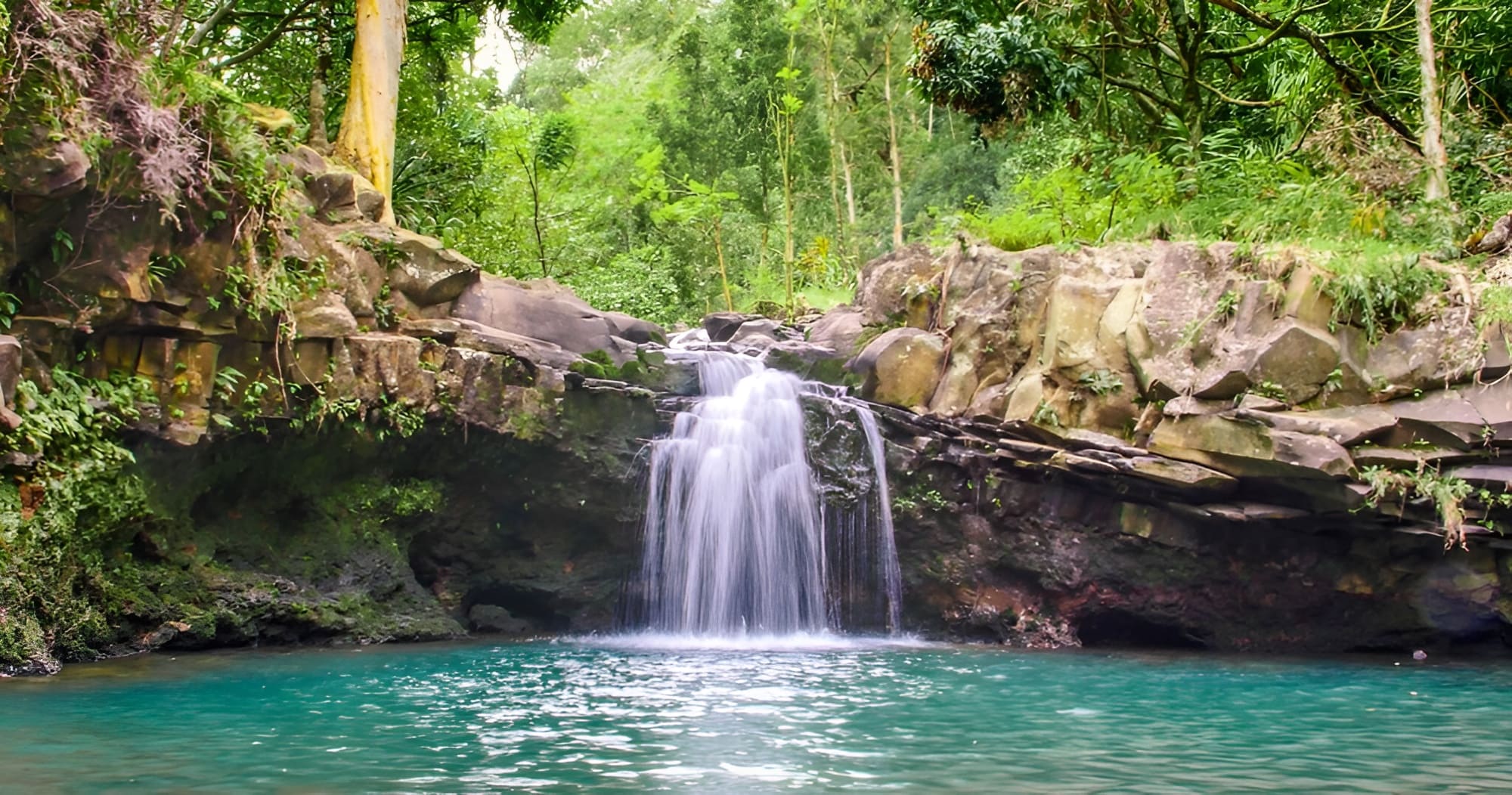 Hike Maui - Waterfall & Rainforest Hiking Adventure - Lahaina Tours
