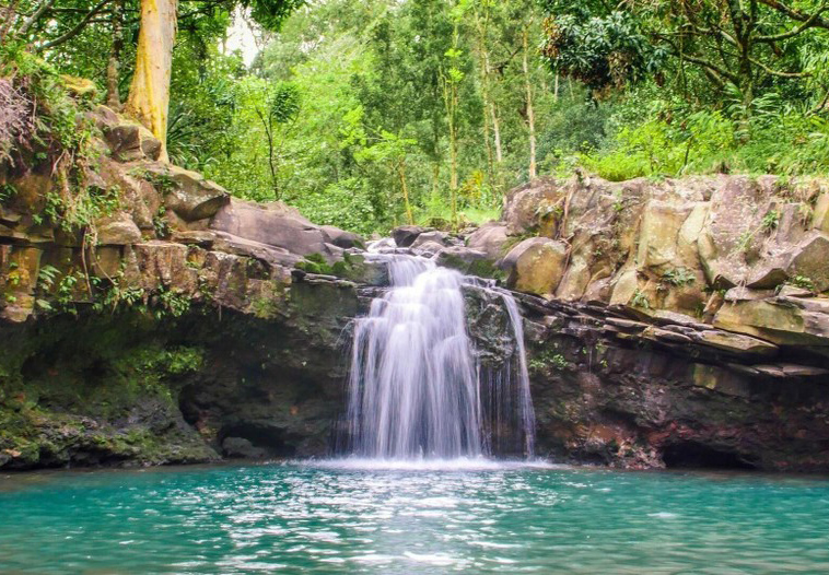 Hike Maui - Waterfall & Rainforest Hiking Adventure