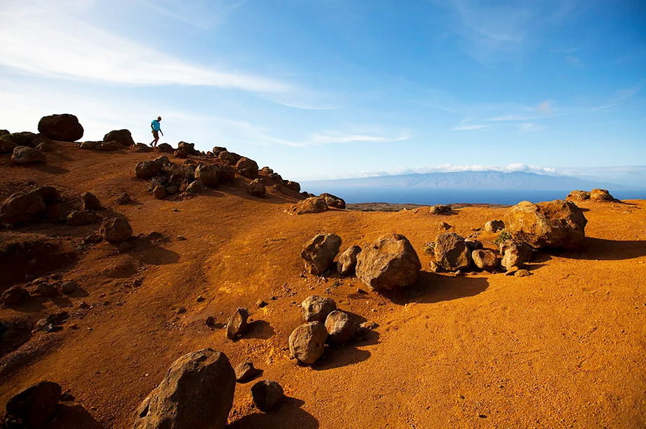 Expeditions - 4 X 4 Trekker Tour