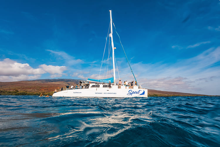 Pacific Whale Foundation - Lanai Snorkel & Dolphin Sail