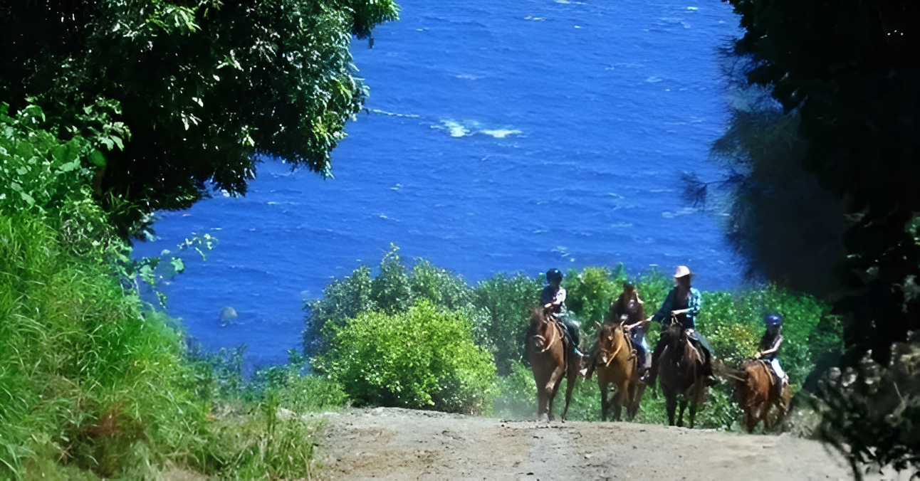 Morning or Afternoon Horseback Ride