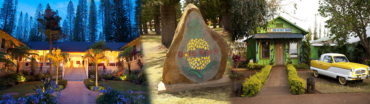 Expeditions - 4 X 4 Trekker Lanai Island Tour