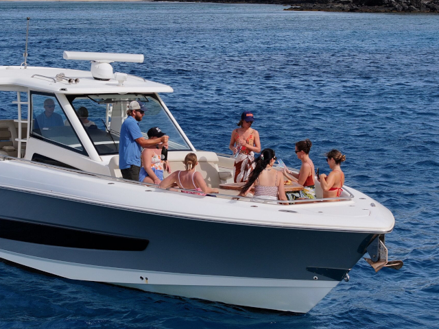 Hawaii Nautical Ma‘alaea Whale Watch – Maui humpback whale watching cruise from Ma‘alaea Harbor