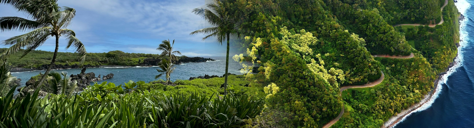 Roberts Hawaii Shore Excursions Heavenly Hana Adventure Tour – Road to Hana Waterfalls & East Maui Sightseeing