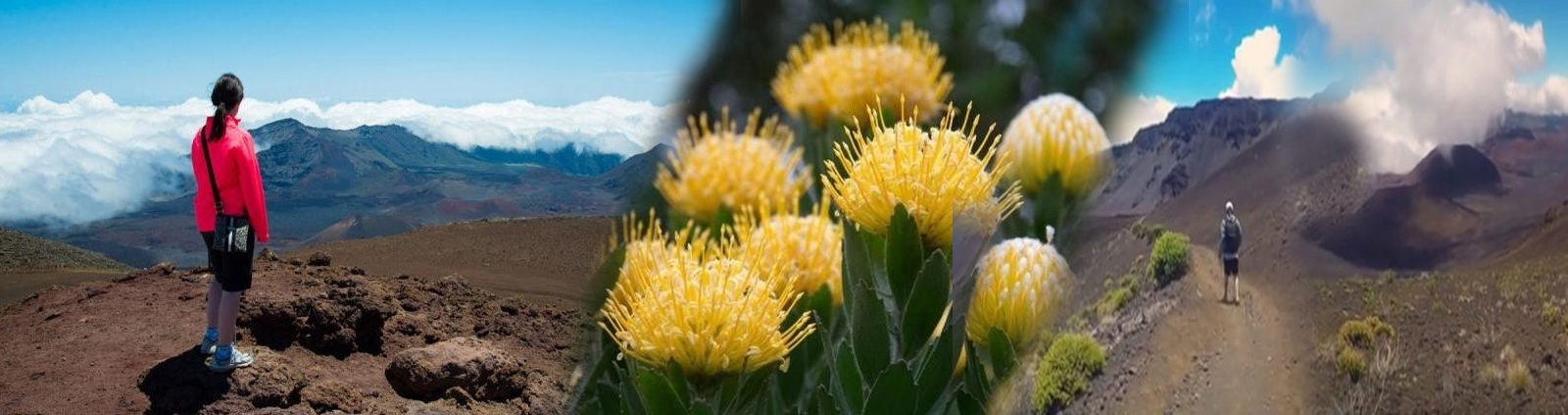 Hike Maui - Haleakala Crater Hiking Experience