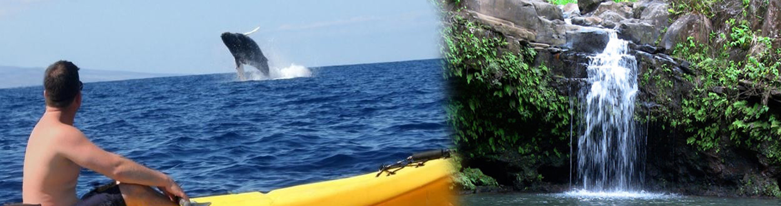 Maui Kayak Snorkel and Waterfall Combo