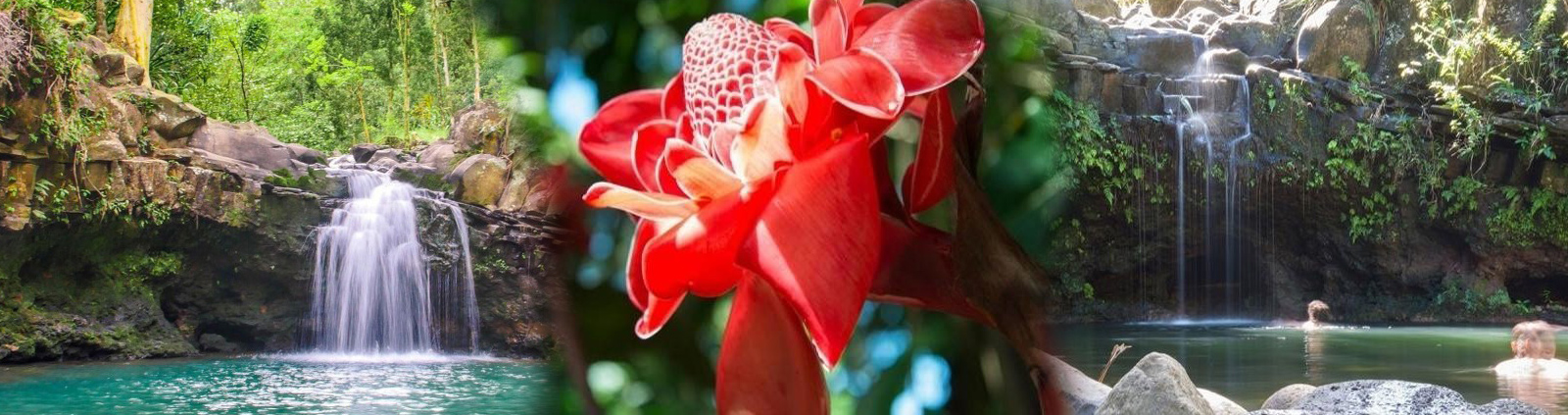 Hike Maui - Waterfall & Rainforest Hiking Adventure