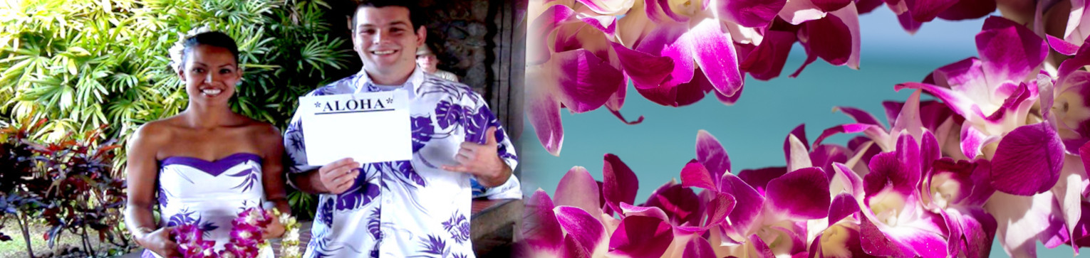 Maui Airport Lei Greetings - Kahului Airport Lei Greeting 