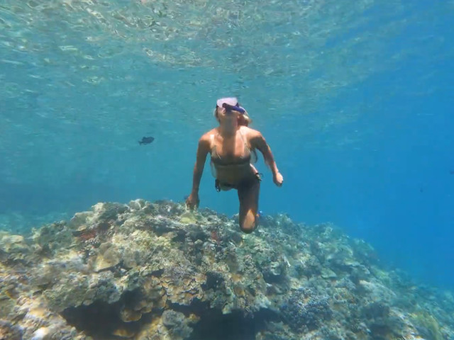 Malolo Charters - Malolo Snorkel Cruise