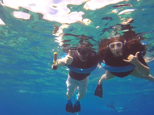 Maui snorkeling Pacific Whale Foundation