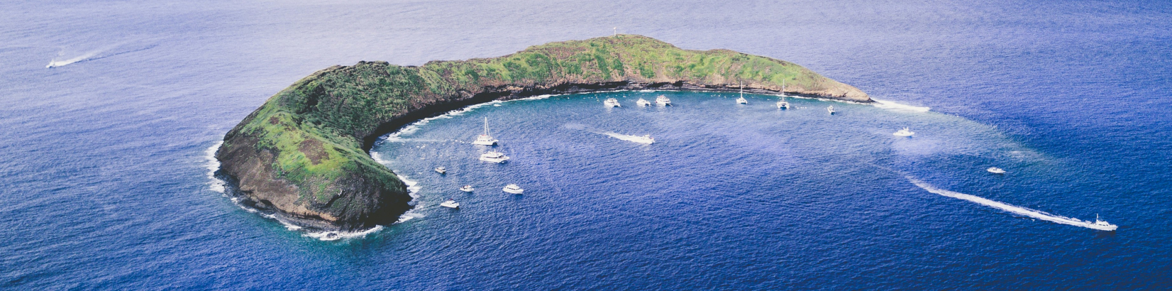 Calypso Charters - Molokini Snorkel Adventure