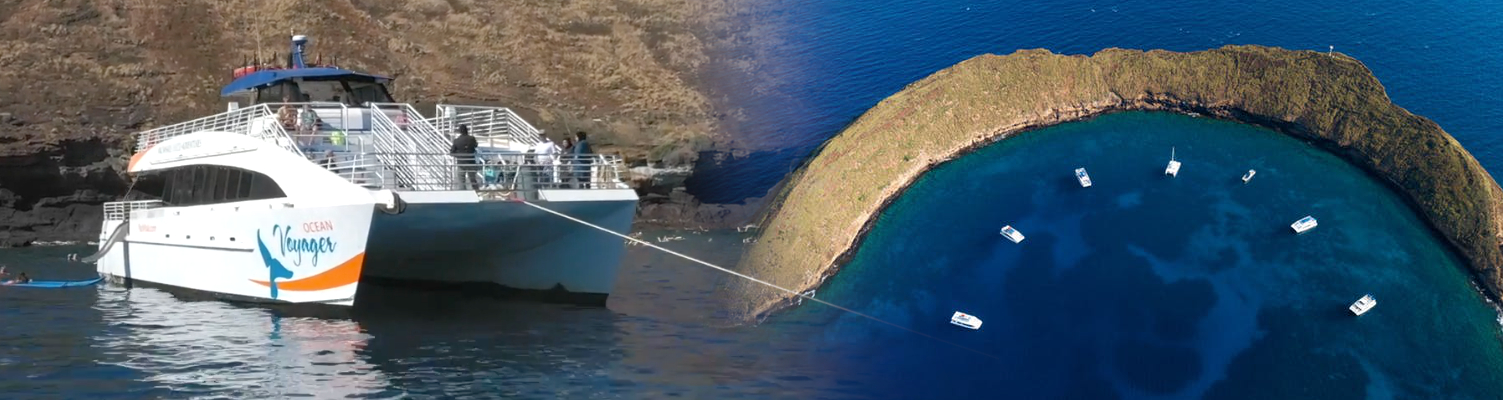 Molokini and Turtle Arches Snorkel