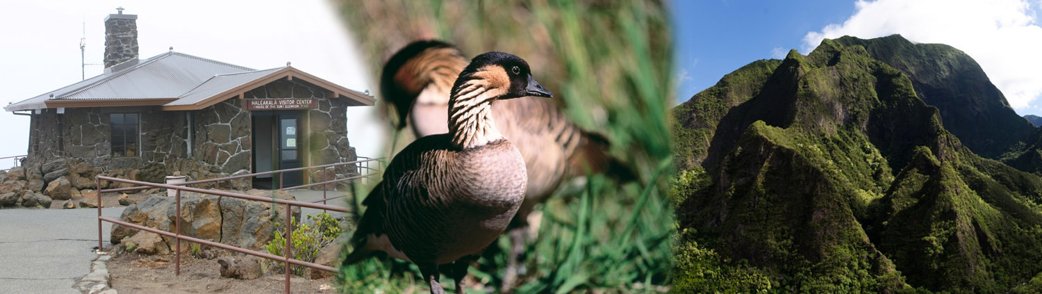 Polynesian Adventure Tours - Best of Maui: Sips, Sites & Bites 