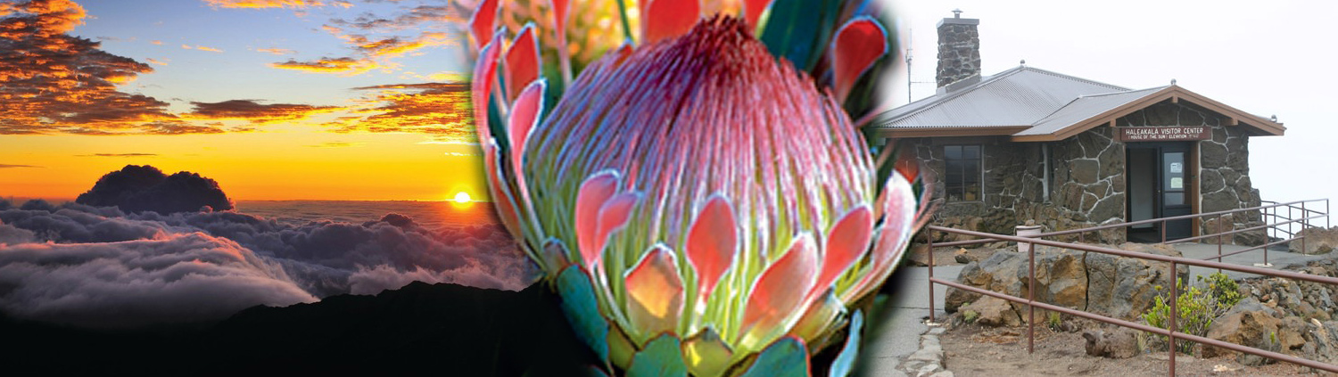 Polynesian Adventure Tours - Haleakala Sunset Tour