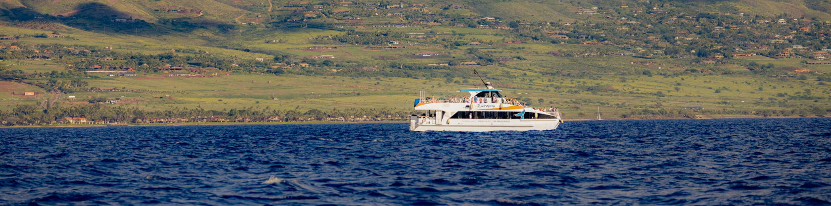 Pacific Whale Foundation Christmas Dinner Cruise – Maui Holiday Sunset Sail with Dinner & Ocean Views