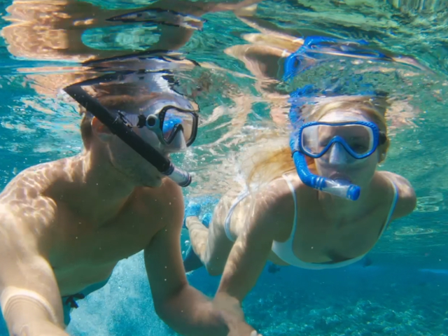 Pacific Whale Foundation - Maui Snorkel & Sunset Sail