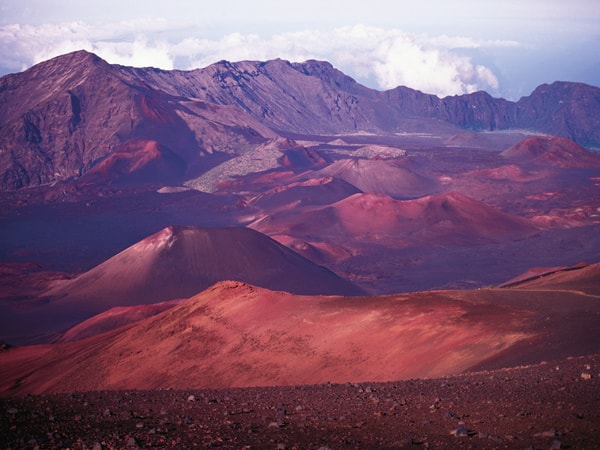 Best of Maui: Sips, Sites & Bites