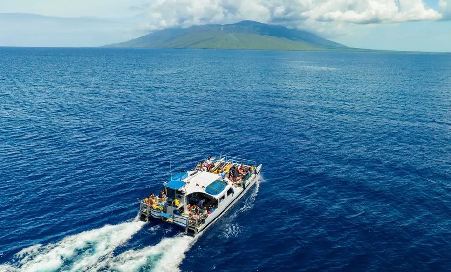 Maui Whale Watching Tour