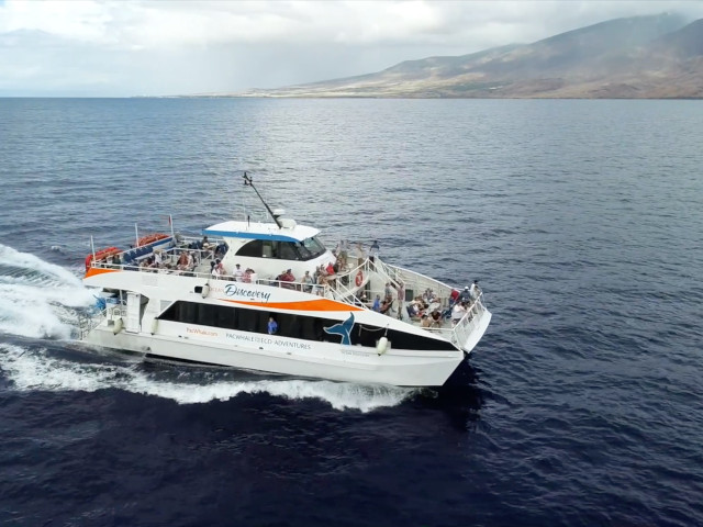 maui dinner cruises