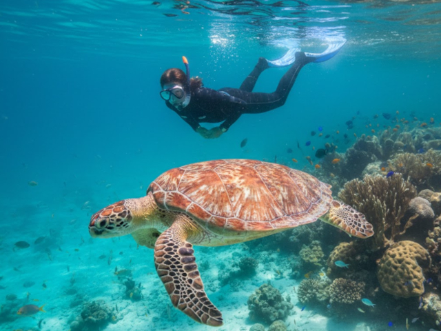 Hawaii Nautical - Maui Luxury Snorkel Cruise (Ma'alaea Harbor)