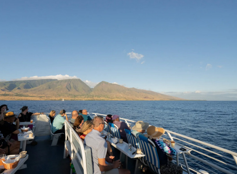 Maui Whale Watching Tour