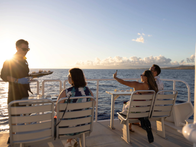 Pacific Whale Foundation - Thanksgiving Dinner Cruise 